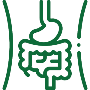 digestive-system-Green